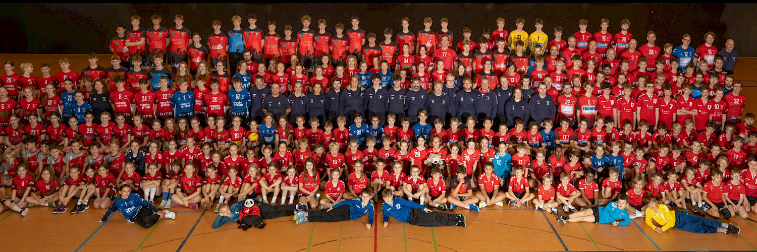 Handball im Walddörfer SV