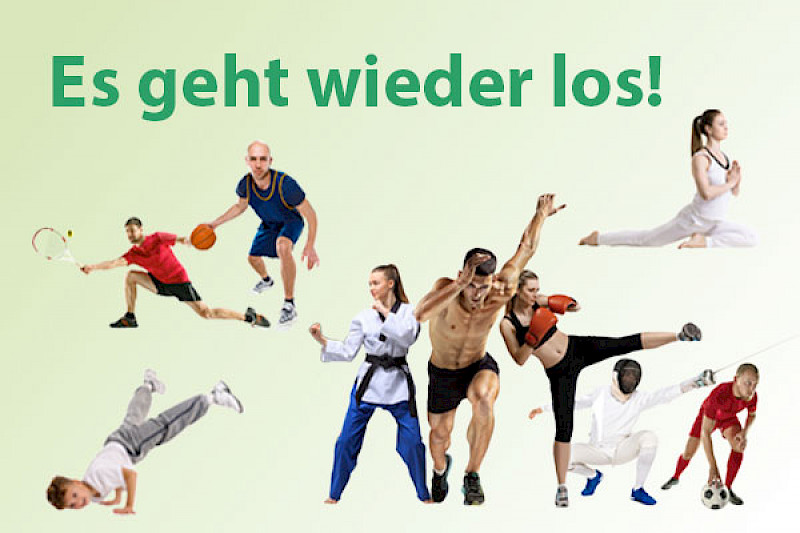 Walddörfer SV - Basketball: Es geht wieder los!