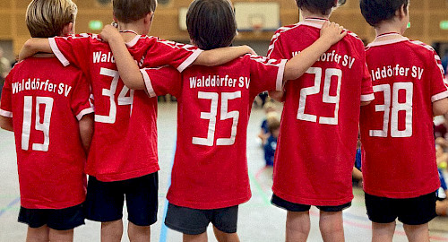 Mini-Mixed Handball im Walddörfer SV