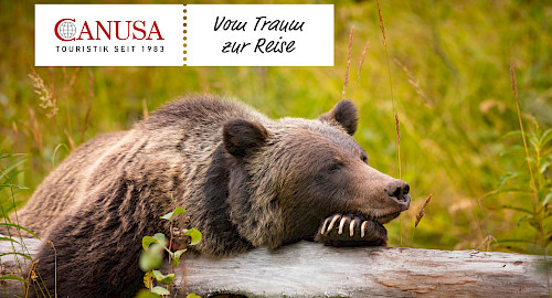 Neuer Sponsor des Walddörfer SV: CANUSA TOURISTIK GmbH