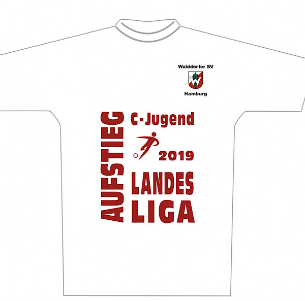 1.D- Aufstieg Landesliga